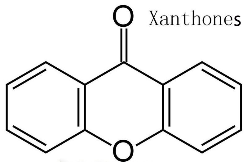 Kháng thể Xanthones giúp giảm cân như thế nào?