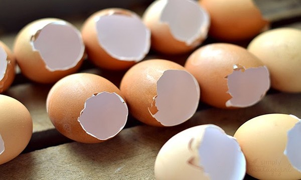 Công dụng của vỏ trứng đối với sức khỏe