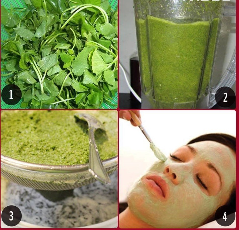 Cách trị sẹo mụn rỗ hiệu quả sau 1 tháng bằng rau má