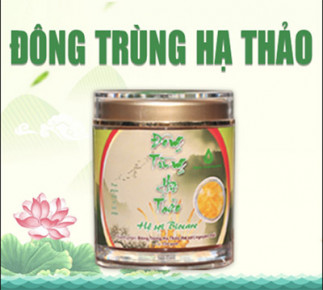 ĐÔNG TRÙNG HẠ THẢO