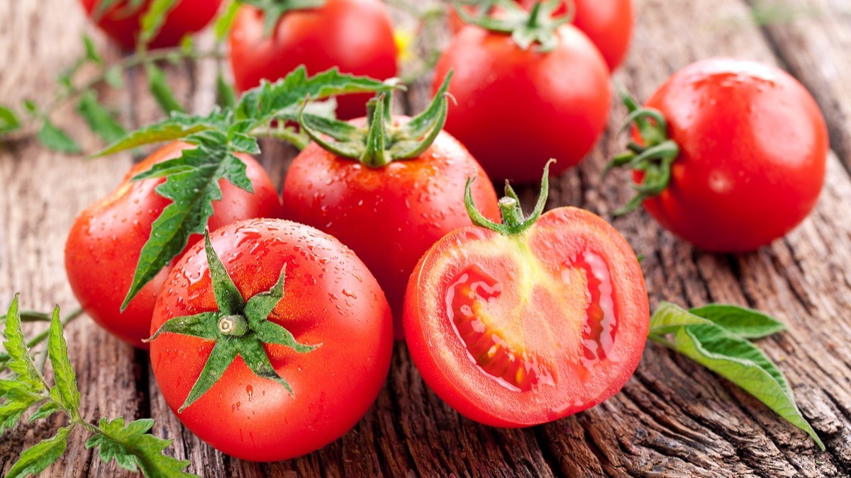 Trong thành phần của cà chua chứa nhiều tinh chất dưỡng da cực tốt cho chị em phụ nữ