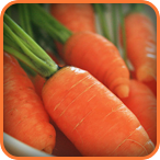 Tinh chất Carrot